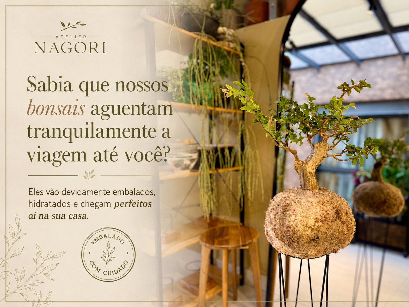 Atelier Nagori — Nossos bonsais aguentam tranquilamente a viagem até você. Vão embalados, hidratados e chegam perfeitos na sua casa.